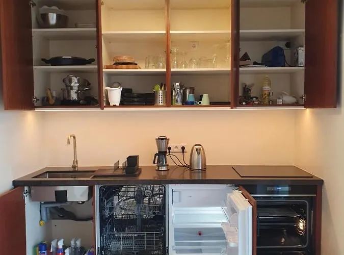 Apartmán Frankfurt View -